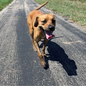 Meet your Posher, Morgan